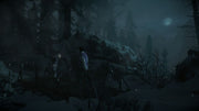 
Until Dawn | PlayStation 4 | gameplay screenshot | Data by MobyGames.com