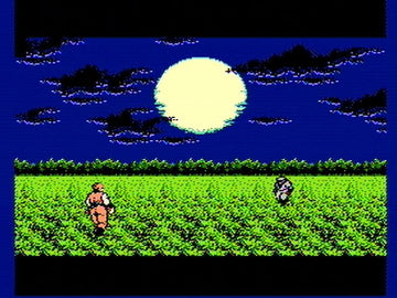 
Ninja Gaiden | NES | gameplay screenshot | Data by MobyGames.com