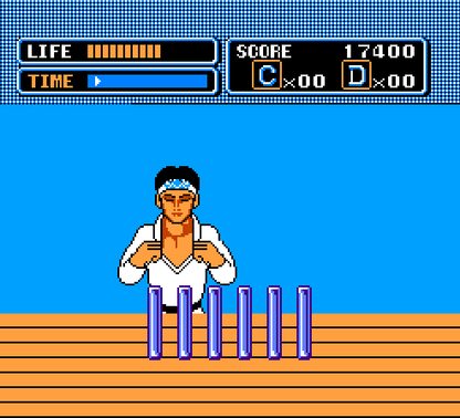 
The Karate Kid | NES | gameplay screenshot | Data by MobyGames.com