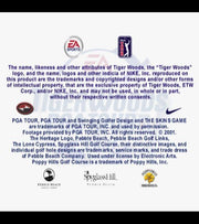 Tiger Woods PGA Tour 2001 | PlayStation 2 | gameplay screenshot | region=North America | source-country= | zypher-v2 | moby-1bf646e7e6d8 | Data by MobyGames.com