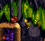 
Donkey Kong Country | Game Boy Color | gameplay screenshot | Data by MobyGames.com