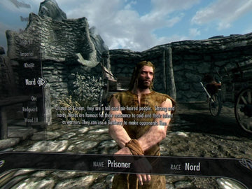 
The Elder Scrolls V: Skyrim VR | PlayStation 4 | gameplay screenshot | Data by MobyGames.com