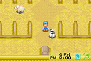 Harvest Moon: Friends of Mineral Town | Game Boy Advance | gameplay screenshot | region=North America | source-country= | zypher-v2 | moby-b904ad0e29bd | Data by MobyGames.com
