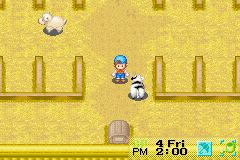 Harvest Moon: Friends of Mineral Town | Game Boy Advance | gameplay screenshot | region=North America | source-country= | zypher-v2 | moby-b904ad0e29bd | Data by MobyGames.com