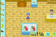 Harvest Moon: Friends of Mineral Town | Game Boy Advance | gameplay screenshot | region=North America | source-country= | zypher-v2 | moby-c14c99a941c2 | Data by MobyGames.com