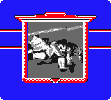 NFL Blitz | Game Boy Color | gameplay screenshot | region=North America | source-country= | zypher-v2 | moby-180a088088cd | Data by MobyGames.com
