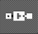 
Kwirk | Game Boy | gameplay screenshot | Data by MobyGames.com