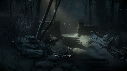 
Until Dawn | PlayStation 4 | gameplay screenshot | Data by MobyGames.com