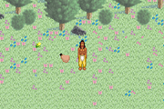 
Spirit: Stallion of the Cimarron | Game Boy Advance | gameplay screenshot | Data by MobyGames.com