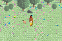 
Spirit: Stallion of the Cimarron | Game Boy Advance | gameplay screenshot | Data by MobyGames.com