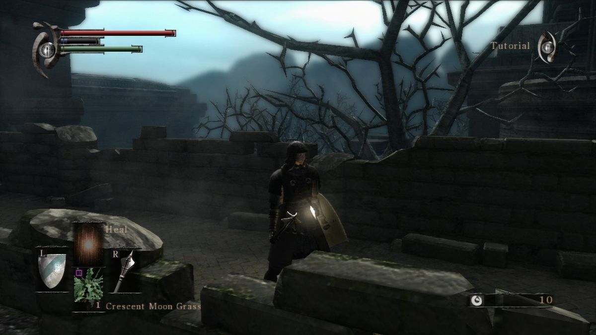Demon's Souls | PlayStation 3 | gameplay screenshot | Data by MobyGames.com