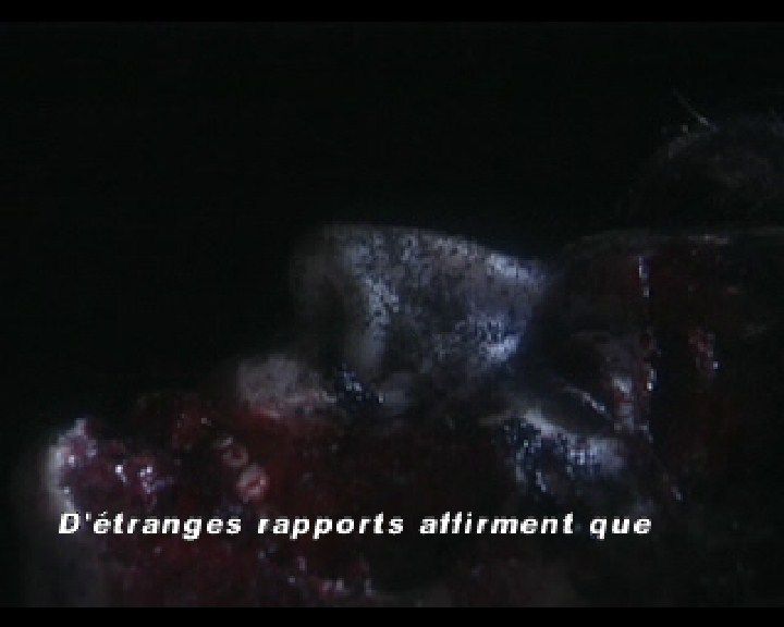 
Resident Evil: Director's Cut | PlayStation | gameplay screenshot | Region: North America | source-country= | Data by MobyGames.com