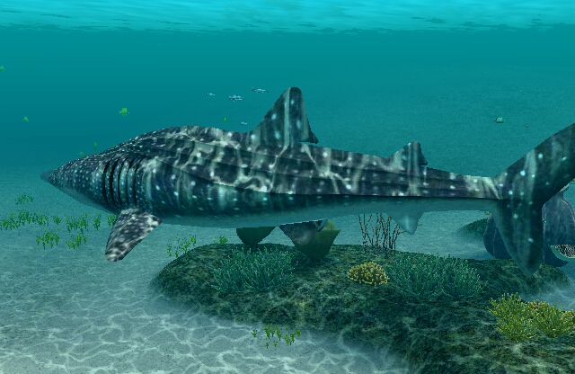 
Endless Ocean: Blue World | Wii | gameplay screenshot | Data by MobyGames.com