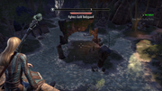 The Elder Scrolls Online: Tamriel Unlimited | Xbox One | gameplay screenshot | region=North America | source-country= | zypher-v2 | moby-003c658b7ffb | Data by MobyGames.com