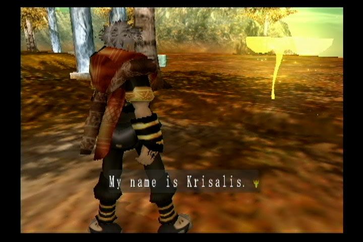 
EverGrace | PlayStation 2 | gameplay screenshot | Data by MobyGames.com