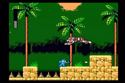 
Mega Man: Anniversary Collection | GameCube | gameplay screenshot | Data by MobyGames.com