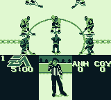 NHL 95 | Game Boy | gameplay screenshot | region=North America | source-country= | zypher-v2 | moby-4983d219bdcf | Data by MobyGames.com