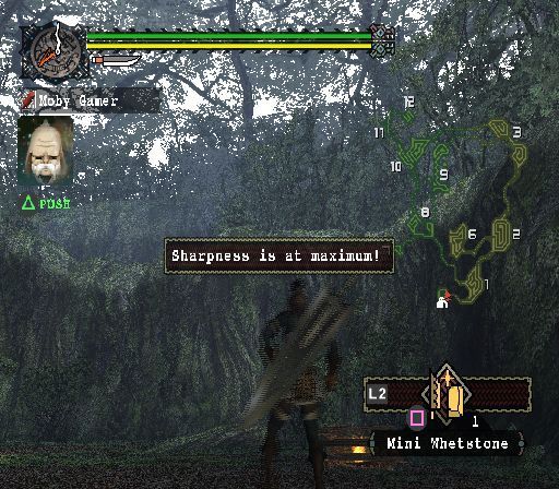 
Monster Hunter | PlayStation 2 | gameplay screenshot | Region: North America | source-country= | Data by MobyGames.com
