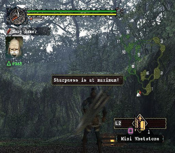 
Monster Hunter | PlayStation 2 | gameplay screenshot | Region: North America | source-country= | Data by MobyGames.com
