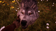 
Far Cry: Primal | Xbox One | gameplay screenshot | Region: North America | source-country= | Data by MobyGames.com