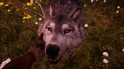 
Far Cry: Primal | Xbox One | gameplay screenshot | Region: North America | source-country= | Data by MobyGames.com