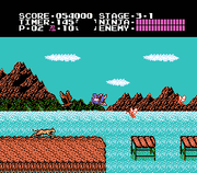 
Ninja Gaiden | NES | gameplay screenshot | Data by MobyGames.com