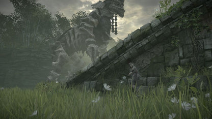 
Shadow of the Colossus | PlayStation 4 | gameplay screenshot | Region: North America | source-country= | Data by MobyGames.com
