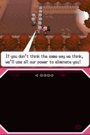 
Pokémon Black Version | Nintendo DS | gameplay screenshot | Data by MobyGames.com