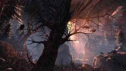 
Castlevania: Lords of Shadow | Xbox 360 | gameplay screenshot | Region: North America | source-country= | Data by MobyGames.com