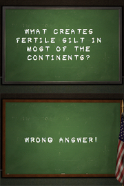 
Are You Smarter than a 5th Grader? Make the Grade | Nintendo DS | gameplay screenshot | Region: North America | source-country= | Data by MobyGames.com
