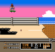
Town & Country Surf Designs: Wood & Water Rage | NES | gameplay screenshot | Data by MobyGames.com