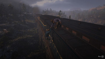 
Red Dead Redemption II | PlayStation 4 | gameplay screenshot | Data by MobyGames.com