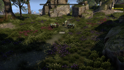 
The Elder Scrolls Online: Summerset | Xbox One | gameplay screenshot | Region: North America | source-country= | Data by MobyGames.com