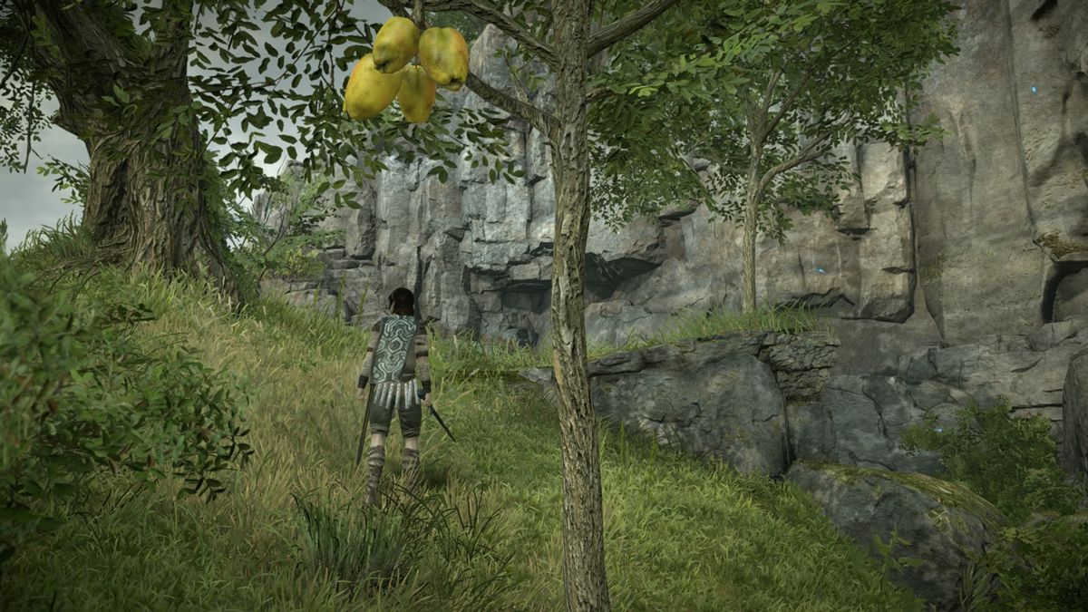 Shadow of the Colossus | PlayStation 4 | gameplay screenshot | Region: North America | source-country= | Data by MobyGames.com