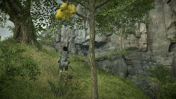 
Shadow of the Colossus | PlayStation 4 | gameplay screenshot | Region: North America | source-country= | Data by MobyGames.com