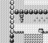 Pokémon Red Version | Game Boy | gameplay screenshot | region=North America | source-country= | zypher-v2 | moby-4c286cefcec8 | Data by MobyGames.com