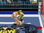 
WCW vs. the World | PlayStation | gameplay screenshot | Data by MobyGames.com