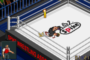 
Fire Pro Wrestling | Game Boy Advance | gameplay screenshot | Data by MobyGames.com