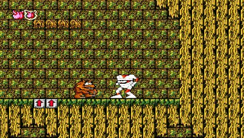 Sega Genesis Collection | PSP | gameplay screenshot | Region: North America | source-country= | Data by MobyGames.com