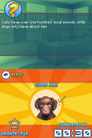 
Animal Planet: Emergency Vets | Nintendo DS | gameplay screenshot | Data by MobyGames.com