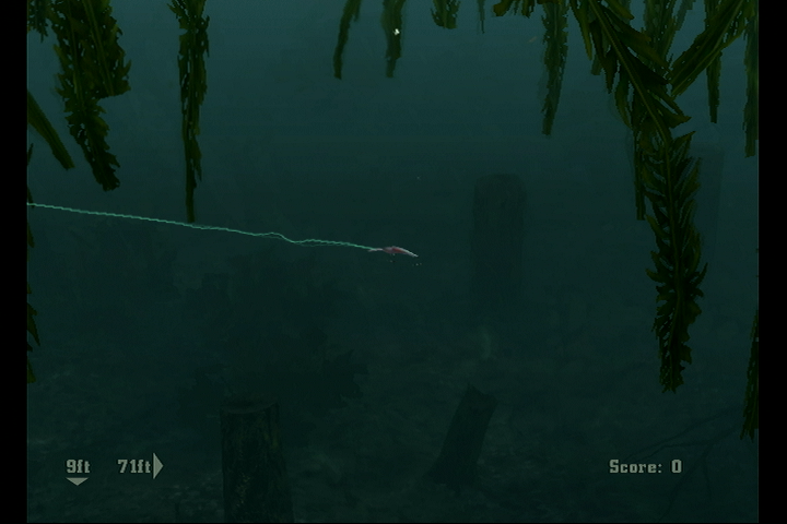 Rapala's Fishing Frenzy | Wii | gameplay screenshot | region=North America | source-country= | zypher-v2 | moby-6455eea93fcb | Data by MobyGames.com