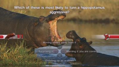 
Nat Geo Challenge! Wild Life | Wii | gameplay screenshot 1 | Region: North America | Source: LaunchBox