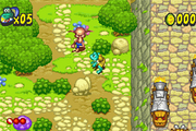 
Frogger's Adventures: Temple of the Frog | Game Boy Advance | gameplay screenshot 1