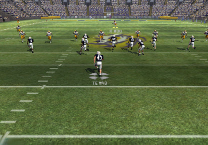 
NCAA Football 11 | PlayStation 2 | gameplay screenshot 3 | Region: North America | Source: LaunchBox