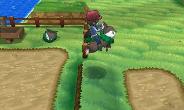 
Pokémon Y | Nintendo 3DS | gameplay screenshot 1