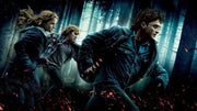 
Harry Potter and the Deathly Hallows: Part 1 | Xbox 360 | gameplay screenshot 2