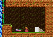 
Super Mario All-Stars | Wii | gameplay screenshot 5