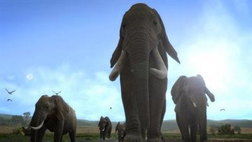 
Afrika | PlayStation 3 | gameplay screenshot 2 | Region: North America | Source: LaunchBox