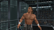 
WWE Smackdown vs. Raw 2008 | PlayStation 2 | gameplay screenshot 2 | Region: North America | Source: LaunchBox
