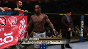 
UFC Undisputed 2010 | PlayStation 3 | gameplay screenshot 3